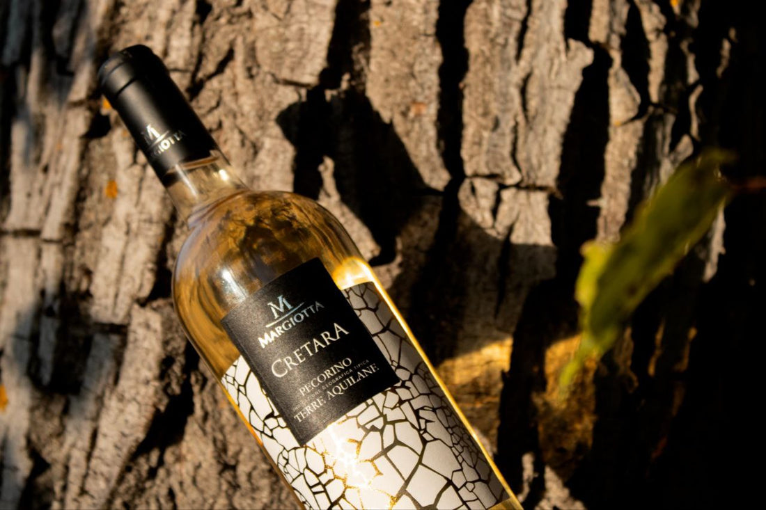 Bottiglia di vino pecorino in un vitigno.