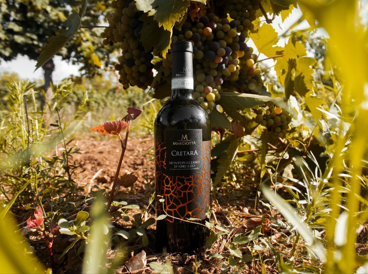 Tre-bottiglie-di-vino-Montepulciano-Abruzzo-DOC-Cerasuolo-Abruzzo-DOC-vino-Pecorino-di-cantina-margiotta