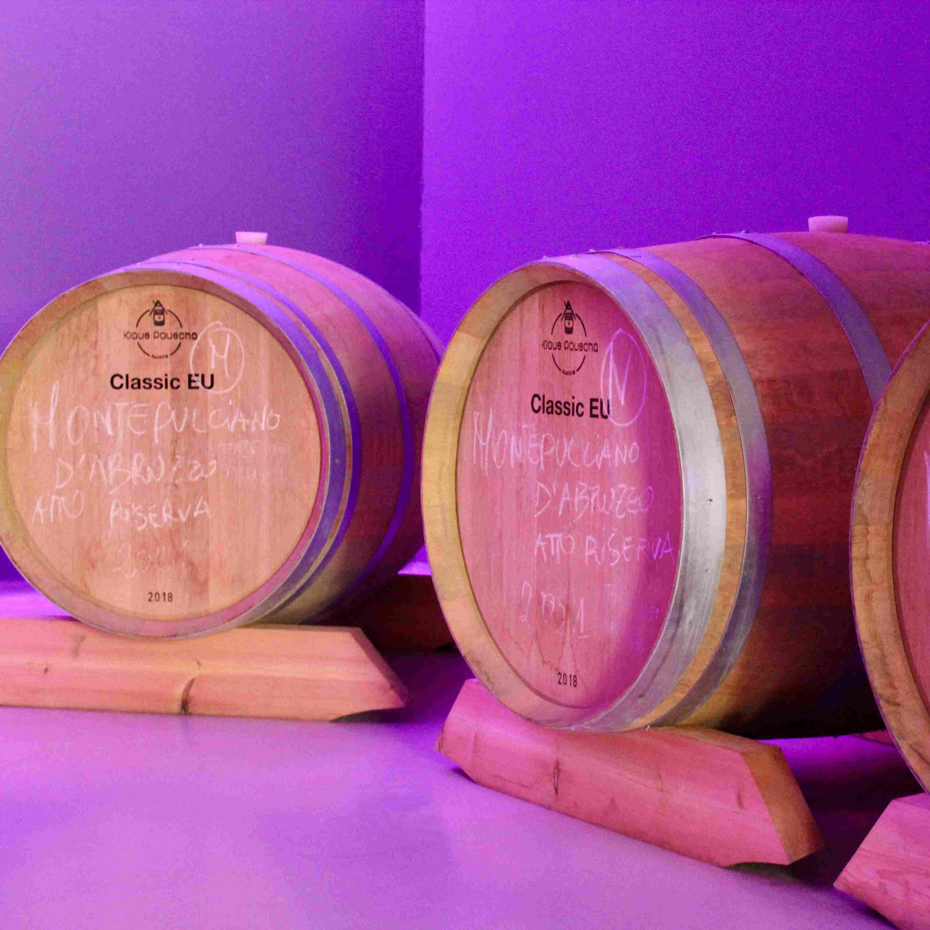 Botti di Montepulciano d'Abruzzo nella barricaia cromoterapica di Cantina Margiotta durante la degustazione di vini Abruzzo